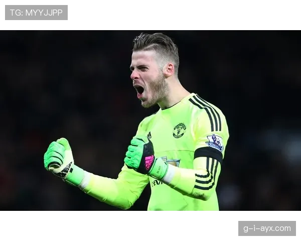 斯托克城青训再添新星，年轻才俊闪耀英超赛场引关注