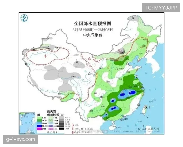 帕利尼亚的大范围覆盖能力解析