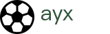 爱游戏 (AYX)体育官方网站平台 - 体育娱乐服务中心